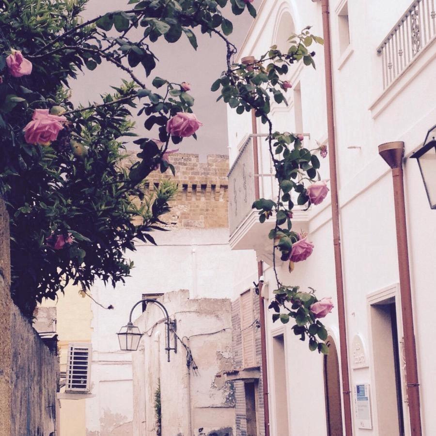 Il Vicoletto Bed and Breakfast Pulsano Buitenkant foto